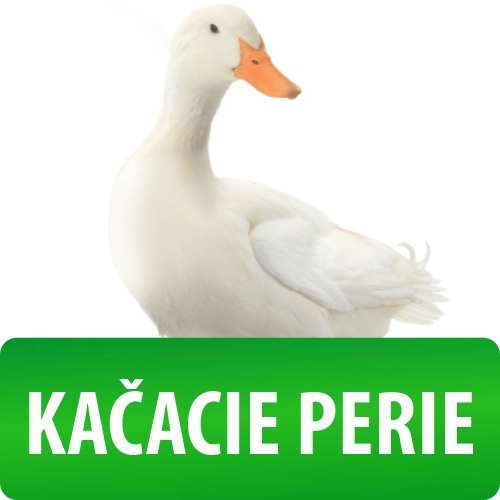 Ikona k obrázku