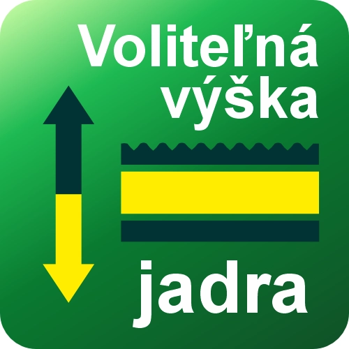 Info ikona